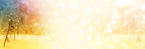 Preview: Frozen Winter Forest With Snow Covered Trees.