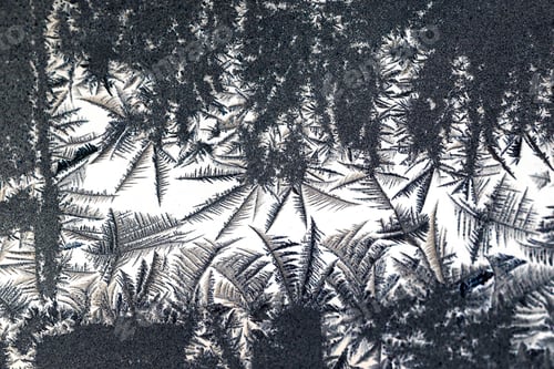 Preview: Ice Flowers On Glass - Texture