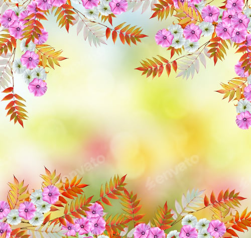 Vista previa: Delicate Bright Flowers Morning Glory On Background Summer Landscape.