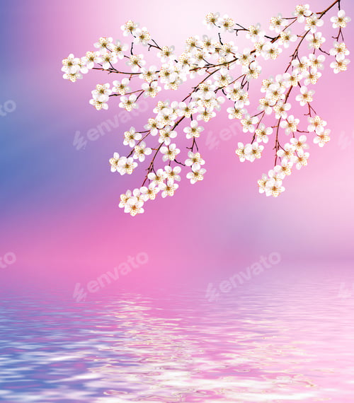 Vista previa: Spring Landscape. Flowering Cherry. Spring Flowering Garden.