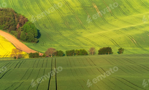 Preview: South Moravia Landscape And Farmland At Sunrise