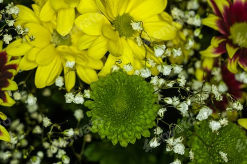 Preview: Beautiful Gift Bouquet Of Various Colorful Decorative Summer Flowers