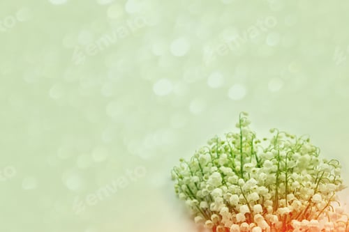 Preview: Spring Landscape. Flowers Lily Of The Valley
