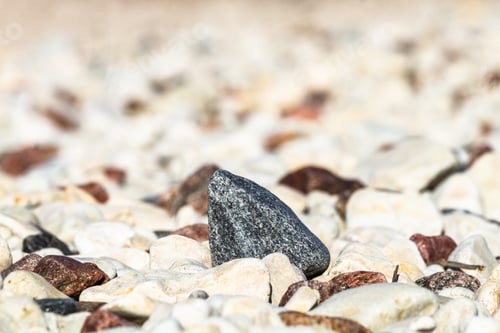 Preview: The Baltic Sea Rocky Coast