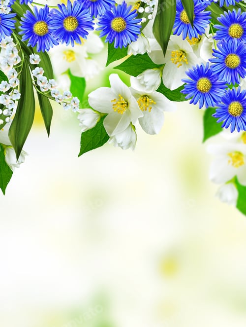 Preview: Spring Landscape With Delicate Jasmine Flowers