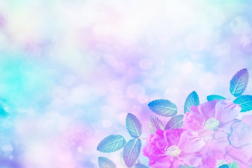 Preview: Summer Landscape. Delicate Wild Rose Garden Flowers