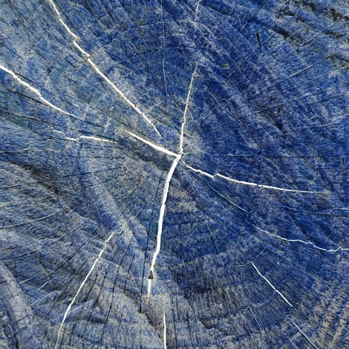 Preview: Abstract Composition With Wood Texture From Tree Trunks With Scratches And Cracks And Inverted