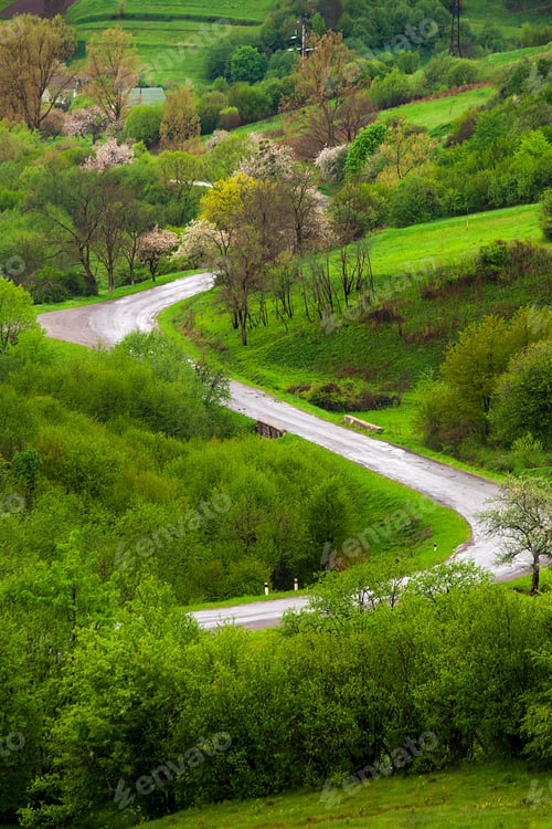 Preview: Winding Asphalt Road Passes Through The Green Shaded Forest In Mountains