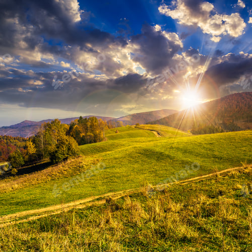 Preview: Yellow And Orange Trees On Autumn Meadow In Mountains At Sunset