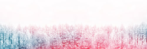 Preview: Blurred Background. Frozen Winter Forest With Snow Covered Trees.