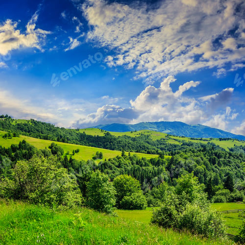 Preview: Mountain Summer Landscape. Pine Trees Near Meadow And Forest On Hillside Under Sky With Clouds