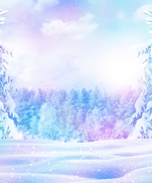 Preview: Frozen Winter Forest With Snow Covered Trees.