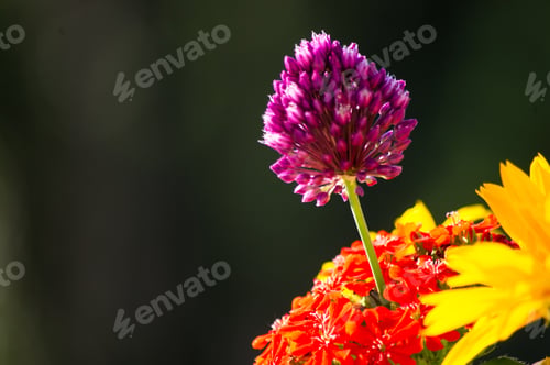Preview: A Bouquet Of Bright Spring Flowers Of Various Types