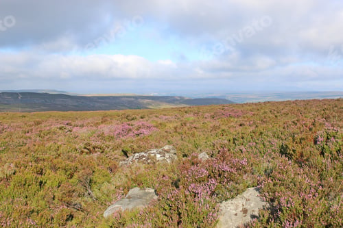 Preview: Hillside Of The Blorenge, Wales