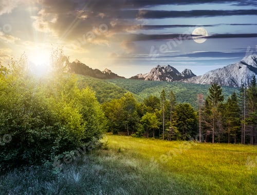 Preview: Day And Night Time Composite Image With Spruce Forest On A Meadow In Tatra Mountains