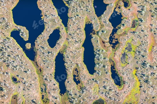 Preview: Aerial View Over The Swamp And Vegetation