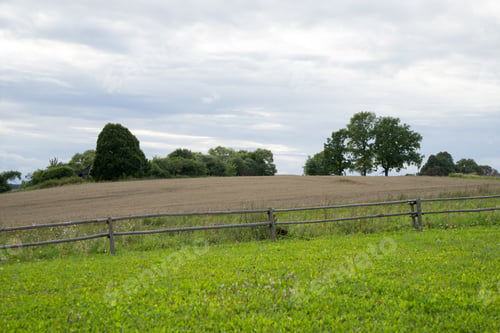 Preview: Field With Fence In The Country