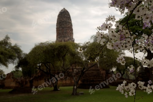 Preview: Old Beautiful Thai Temple Wat Mahathat, Ayutthaya Historical Park, Ayutthaya, Thailand