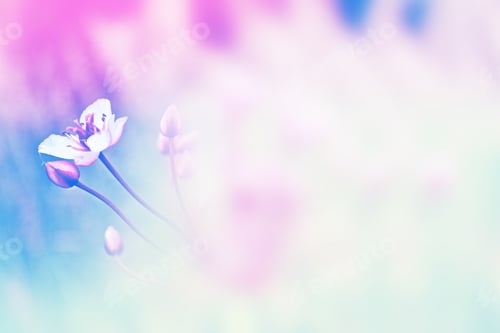 Preview: Blurred Image Of Grass. Summer Colorful Abstract Background.