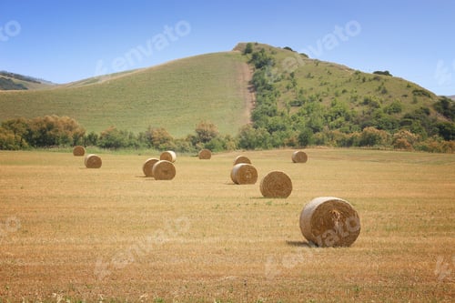 Preview: Harvest Time In Italy - Hay Bales On A Field In Basilicata Region.