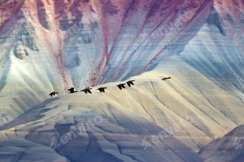 Vista previa: Flying Birds. Colorful Mountains Background. Birds: Great Cormorant. Phalacrocorax Carbo. Nallihan
