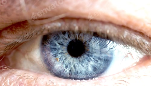 Preview: Eye Macro