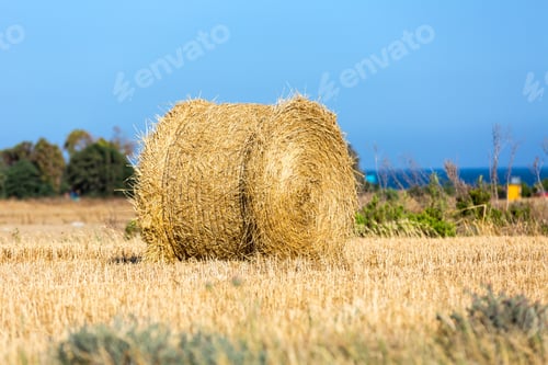 Preview: Summer Scene With Hay Roll On Agricultural Field