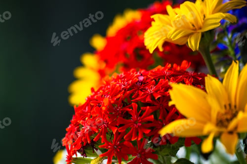 Preview: A Bouquet Of Bright Spring Flowers Of Various Types