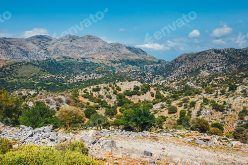 Preview: Olive Fields On Crete Island In Greece, Cretan Landscape