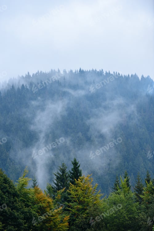 Preview: Western Carpathian Mountain Tops In Autumn Covered In Mist Or Clouds. Panoramic View From A Distance