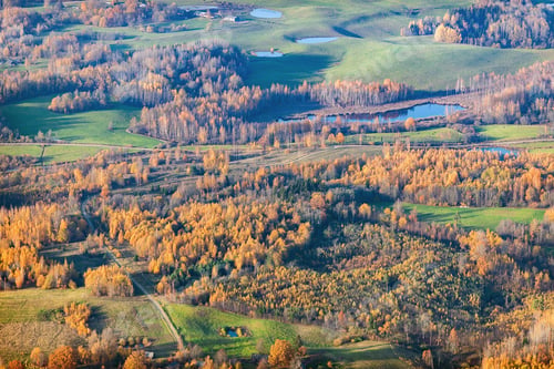 Preview: Aerial View Over The Fields And Forest In Autumn