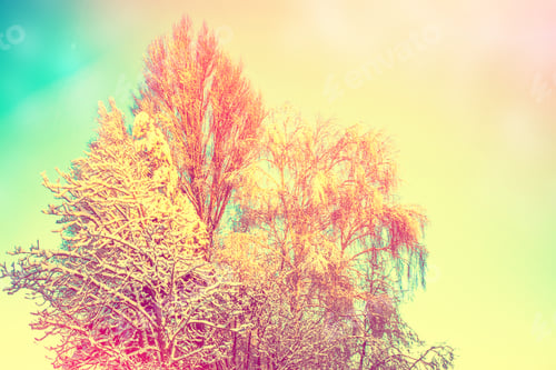 Preview: Frozen Winter Forest With Snow Covered Trees.