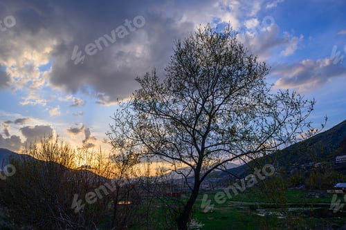 Preview: Silhouettes Of Trees Against Sunset Sky Background