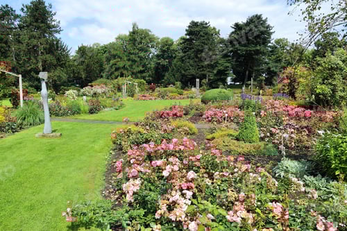 Preview: Dortmund, Germany. Rose Flower Garden In Westfalenpark.