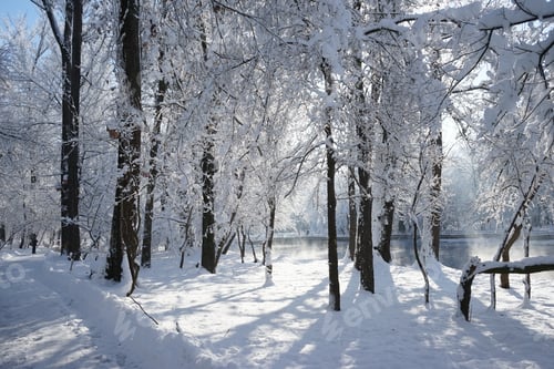 Preview: Winter Landscape In The Park In A Cold, But Sunny Day. High Resolution And Beautiful Snow Details