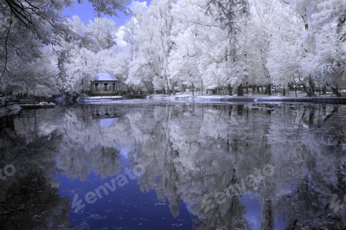 Preview: Infrared Landscape And Details