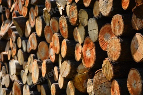 Preview: A Pile Of Firewood/Wood Background/Firewood