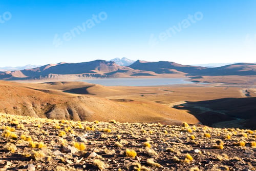 Preview: Bolivian Landscape, Morejon Lagoon View, Bolivia. Andes Plateau
