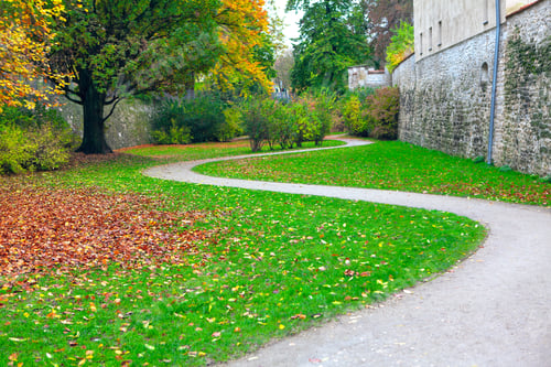 Preview: Winding Walking Path In The Autumn Park