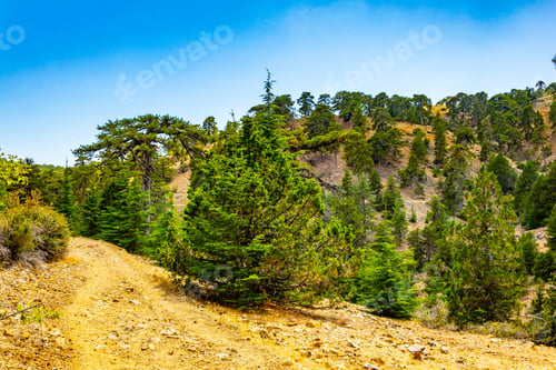 Preview: Troodos Mountains On Cyprus