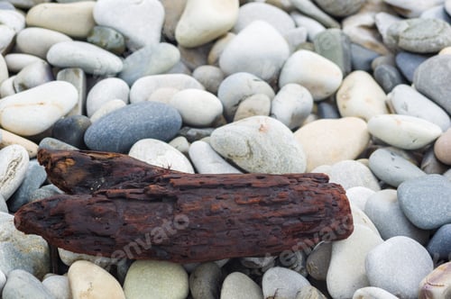 Preview: Driftwood, Washed Up By The Sea On A Pebble Beach