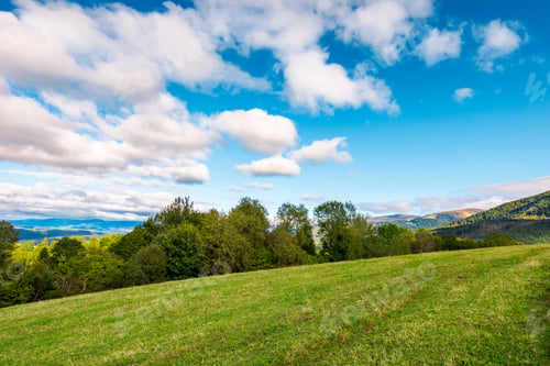 Preview: Early Autumn Countryside In Mountains. Row Of Trees Behind The Grassy Meadow. Fluffy Clouds On A