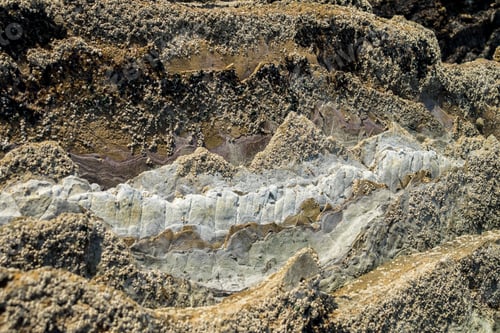 Preview: The Flysch Coast Of Sakoneta, Zumaia - Basque Country, Spain