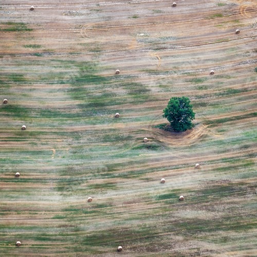 Preview: Aerial View Over The Rural Fields In Summertime