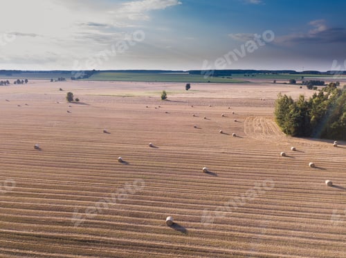 Preview: Aerial: Stubble Field With Straw Bales At Late Summer. Polish Landscape From Drone.