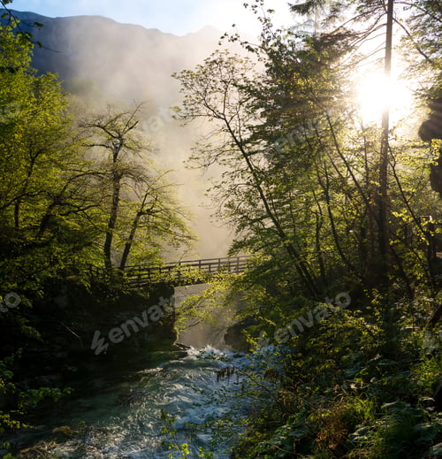 Preview: Spring In Vintgar Gorge In Slovenia