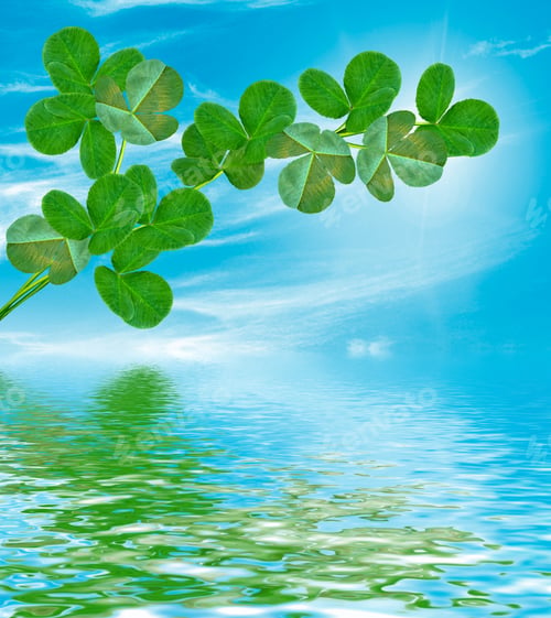 Preview: Summer Landscape. Meadow. Clover. Green Branch Clover