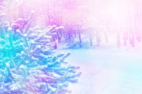 Preview: Frozen Winter Forest With Snow Covered Trees.