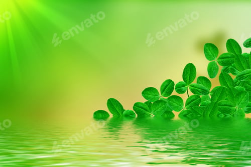 Preview: Green Clover Leaves On A Background Summer Landscape. St.Patrick 'S Day.