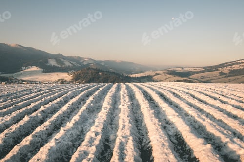Preview: Plotted Agriculture Fields In Winter Under The Snow - Vintage Film Effect